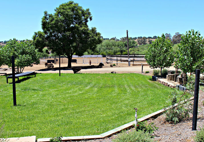 Picnic Lawn