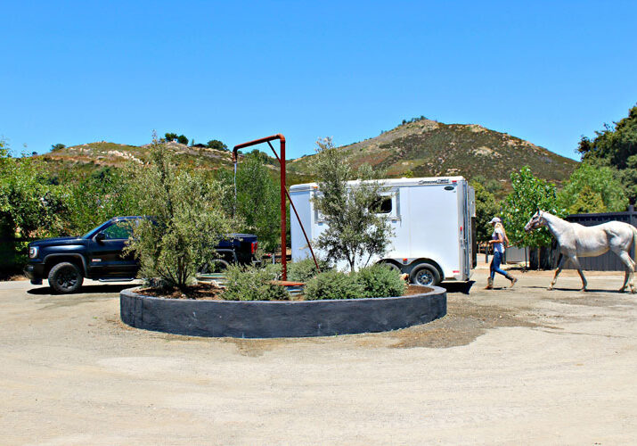 Entry Courtyard